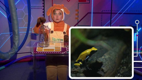 Telefon - 23. června 2017