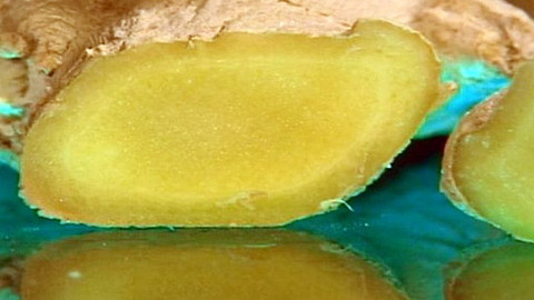 Pod pokličkou - Na kašel i nevolnost pomůže ti zázvor dost