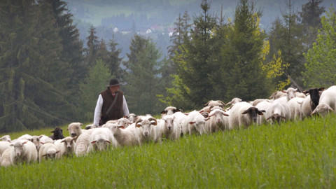 Spolu na hranici - 10/16 Mezi goroly