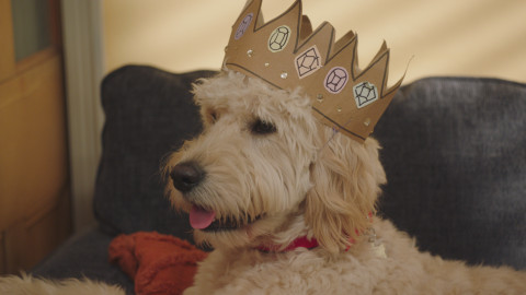 Biff a Chip - 20/25 Královská návštěva