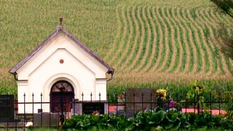 Vesnicopis - Telecí