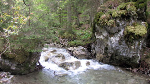 Návraty k divočině - Velká Fatra