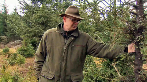 Nedej se! - Lesy k sežrání