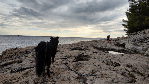 Test iV - Test iV 2025