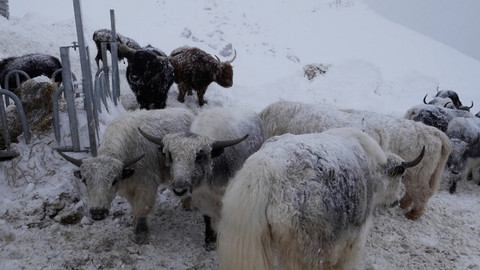 Na cestě - Na cestě po Tridentsku