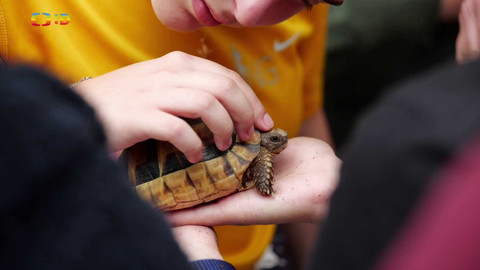 Zprávičky - 19. července