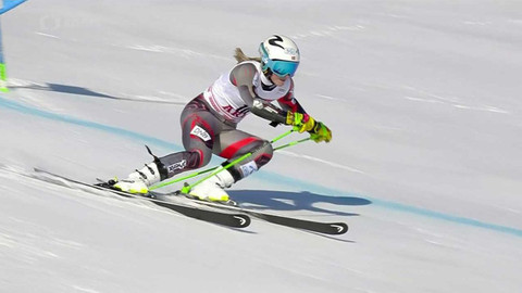 Světový pohár v alpském lyžování - Švédsko
