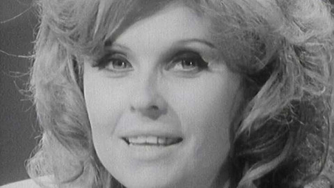 Brněnské kolo - Kolo - střihák