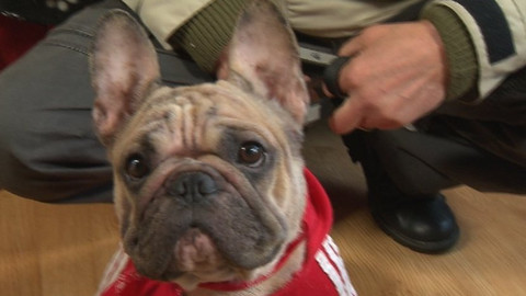 Chcete mě? - Chcete je?