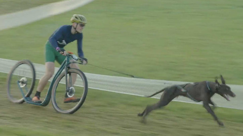 MS v individuálním mushingu 2025 Česko - Mistrovství světa ICF v individuálním mushingu