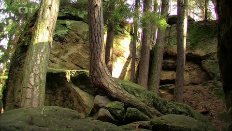 Živé srdce Evropy - Maštale