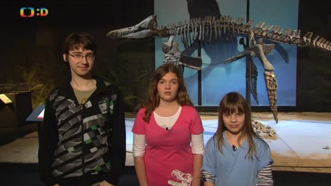 Náš zvěřinec - Dinosauři