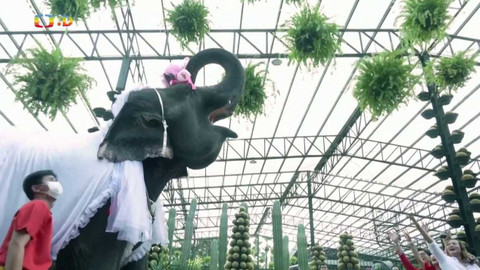 Zprávičky - 14. února 2023