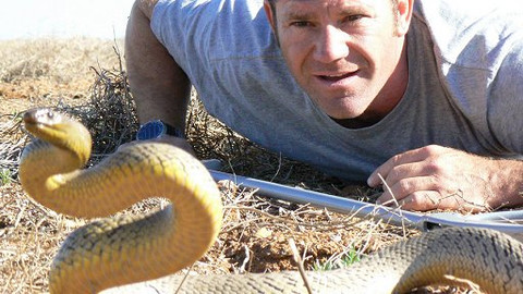 60 zvířecích zabijáků - Epizoda 7/20