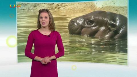 Zprávičky - 26. ledna 2020