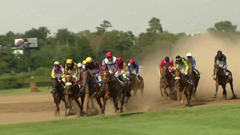 Turf - 24. srpna 2016