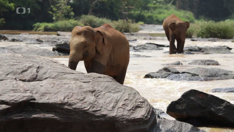 Objektiv - 15. března