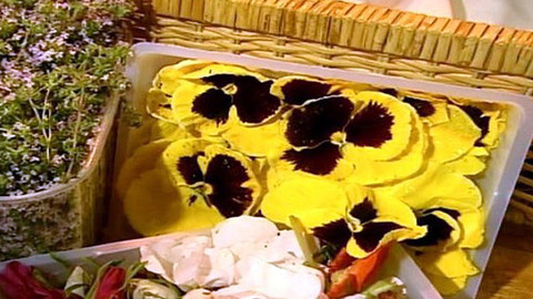 Pod pokličkou - Karafiát, růže k jídlu býti může