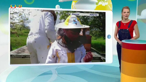 Zprávičky - 24. dubna 2017