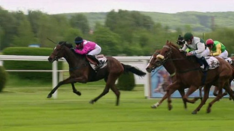 Turf - 13. května 2015