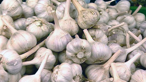 Ta naše povaha česká - Kde je ta země mléka a strdí