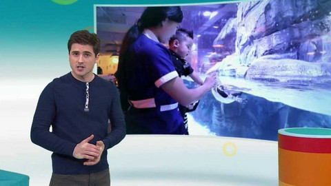 Zprávičky - 16. února 2017