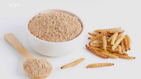 Toulky Českem budoucnosti - Pekařský průmysl