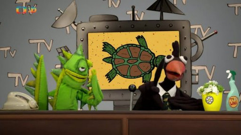 TvMiniUni - 4/38 Proč jsou státy? A proč mají želvy krunýř?