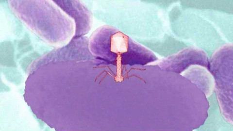 PORT - 12. září 2007