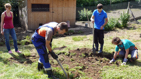 Malá farma - Jezírko