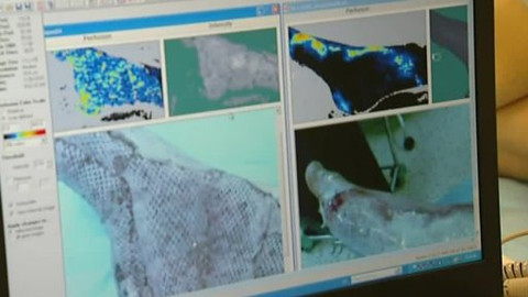 Tep 24 - 15. ledna 2011