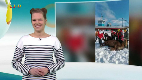 Zprávičky - 20. ledna 2021