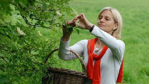 Zázračné bylinky - 13/13 Obezita