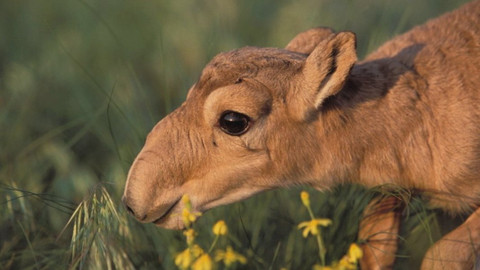 Chcete mě? - 25. března 2018