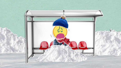 To je něco! - Je pravda, že medvědi celou zimu prospí?