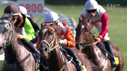 Dostihy - St. Leger
