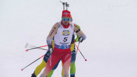 Světový pohár v biatlonu - SP Německo