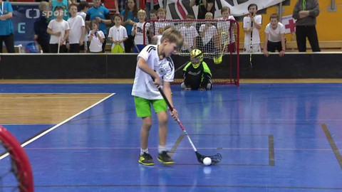 Sport v regionech - Česko-Slovenský florbalový turnaj, Brno