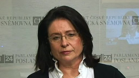 Interview ČT24 - 7. dubna 2011