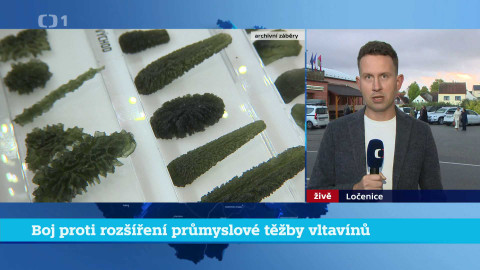 Události v regionech (jih a západ) - 7. října