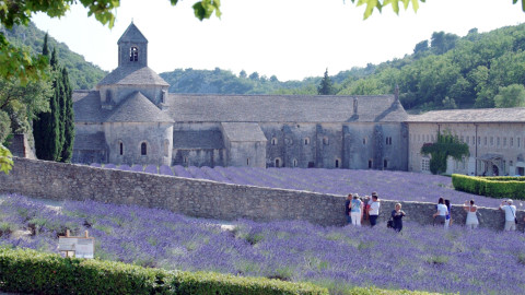 Kouzelné bylinky - Francie, ráj levandule