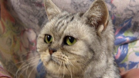 Chcete mě? - Chcete je?