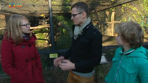 Náš zvěřinec - Podivíni v pražské ZOO
