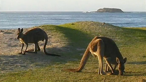 Cestománie - Austrálie - Východ a jih