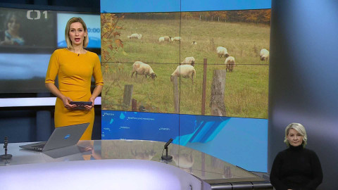 Události v regionech (Ostrava) - 17. října