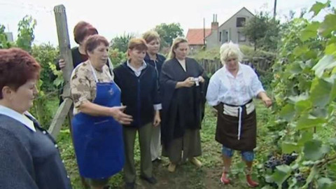 Náš venkov - Z vinobraní a jihomoravských vinohradů