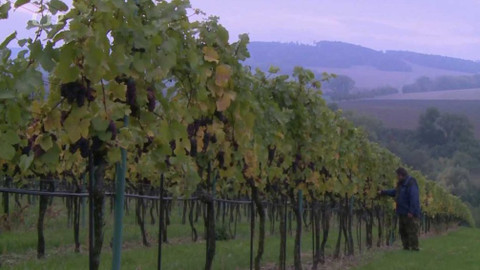 Cesty víry - Tajemství krve Páně