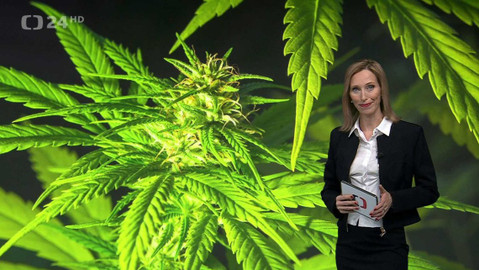 Horizont ČT24 - 13. března 2024