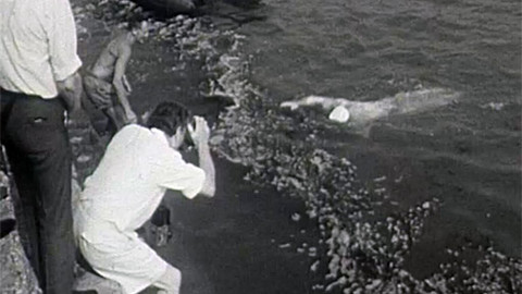 Zapomenuté výpravy - "Šťastné" František