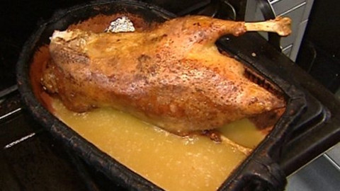 Objektiv - 12. července 2009